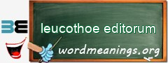 WordMeaning blackboard for leucothoe editorum